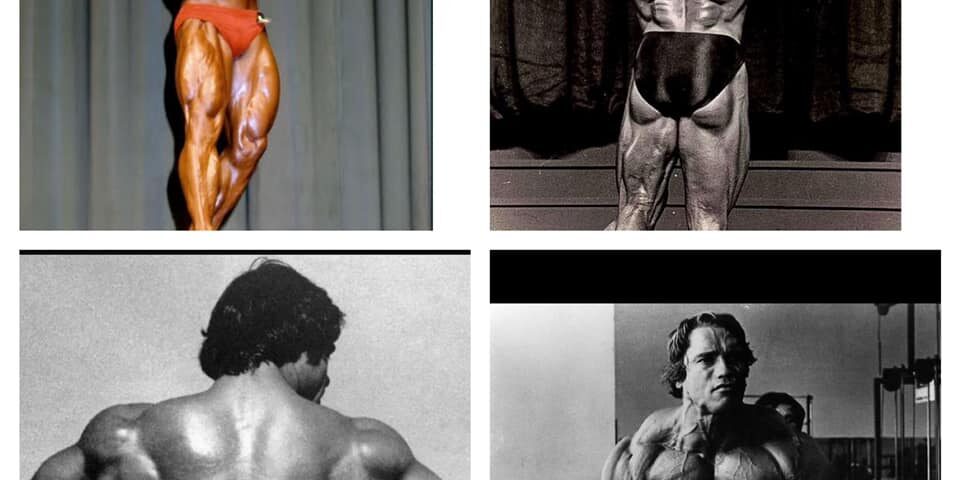 The Eight Mandatory Poses in Bodybuilding