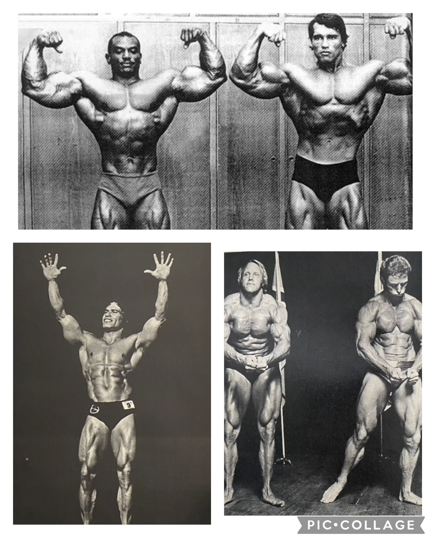 Jerry Bodybuilder Season 7, Episode 163 – 1972 In Review, Part Two with Jerry Brainum ...