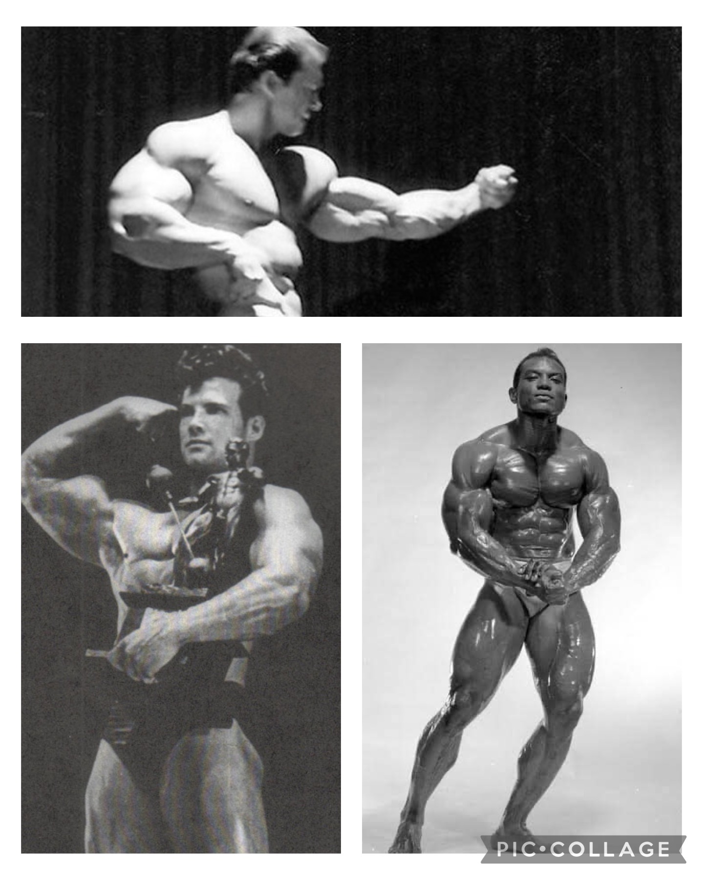 Bodybuilding Legends Show